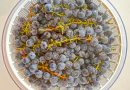 Mostarda-inspired Concord Grape Jam Preserve Recipe