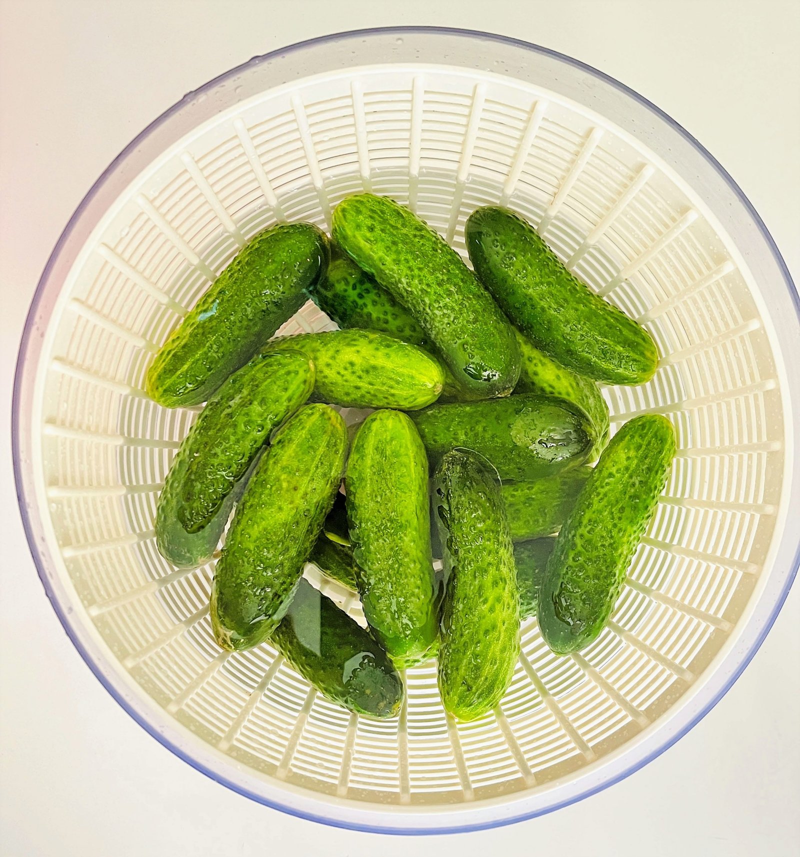 Simple Old World Style Pickled Dill Cucumbers Canning Recipe