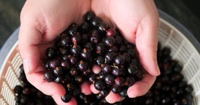 How To Make And Preserve Blackcurrant Syrup At Home