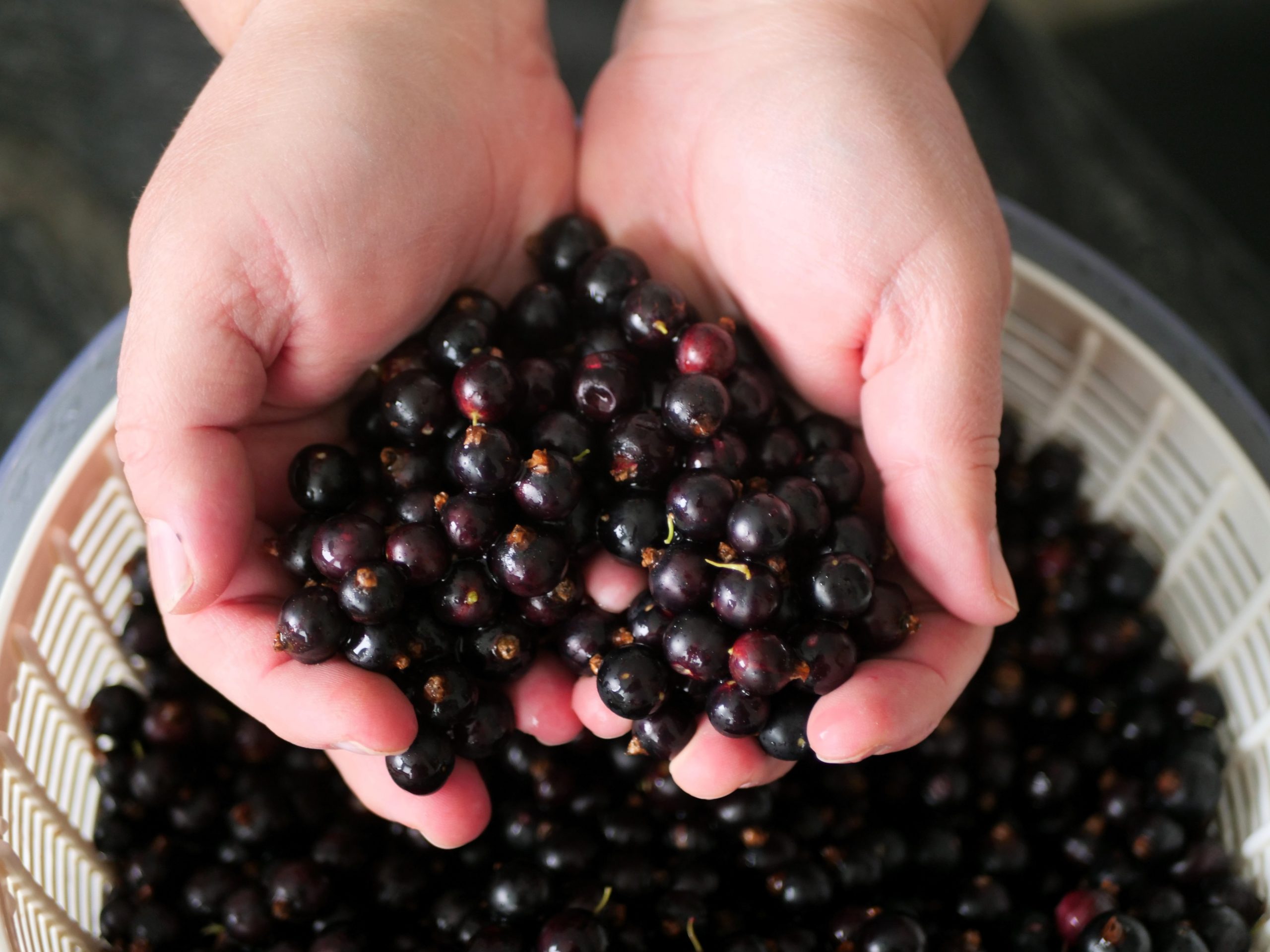 How To Make And Preserve Blackcurrant Syrup At Home