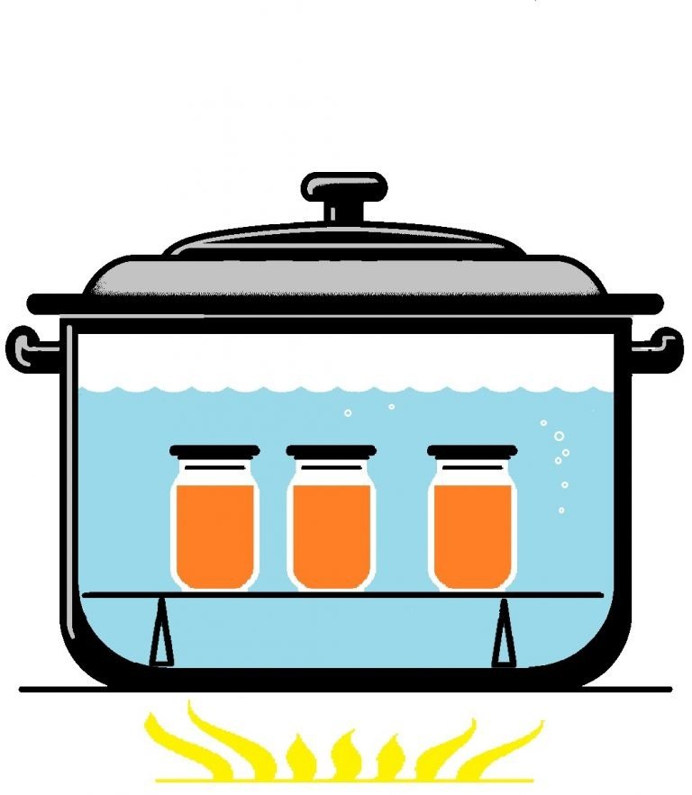 A beginners guide to steam canning at home