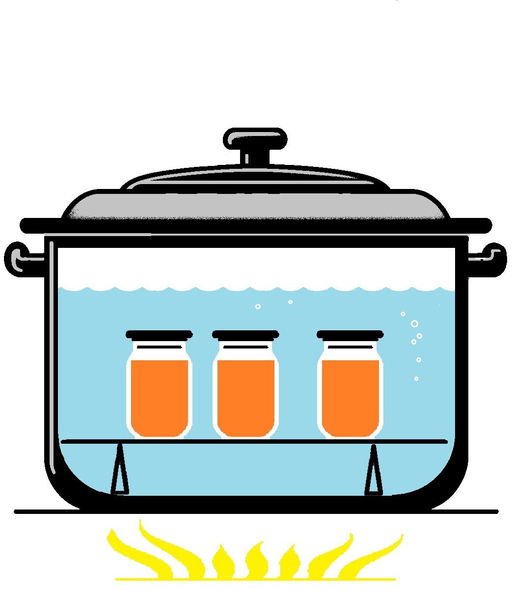 A beginners guide to steam canning at home