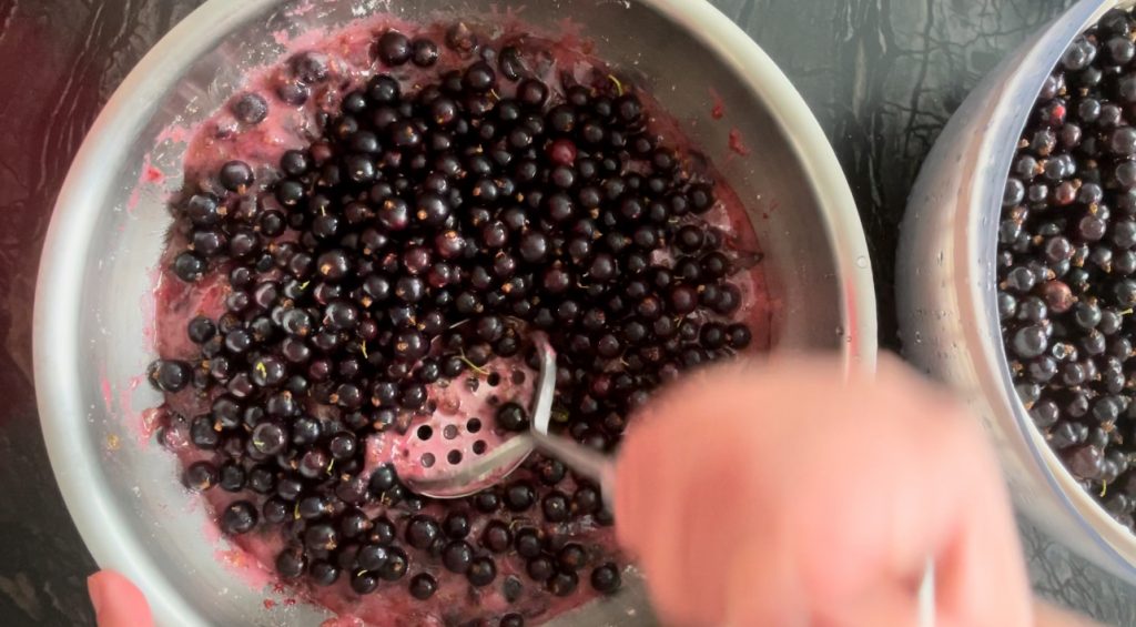 mash sugar with the blackcurrants