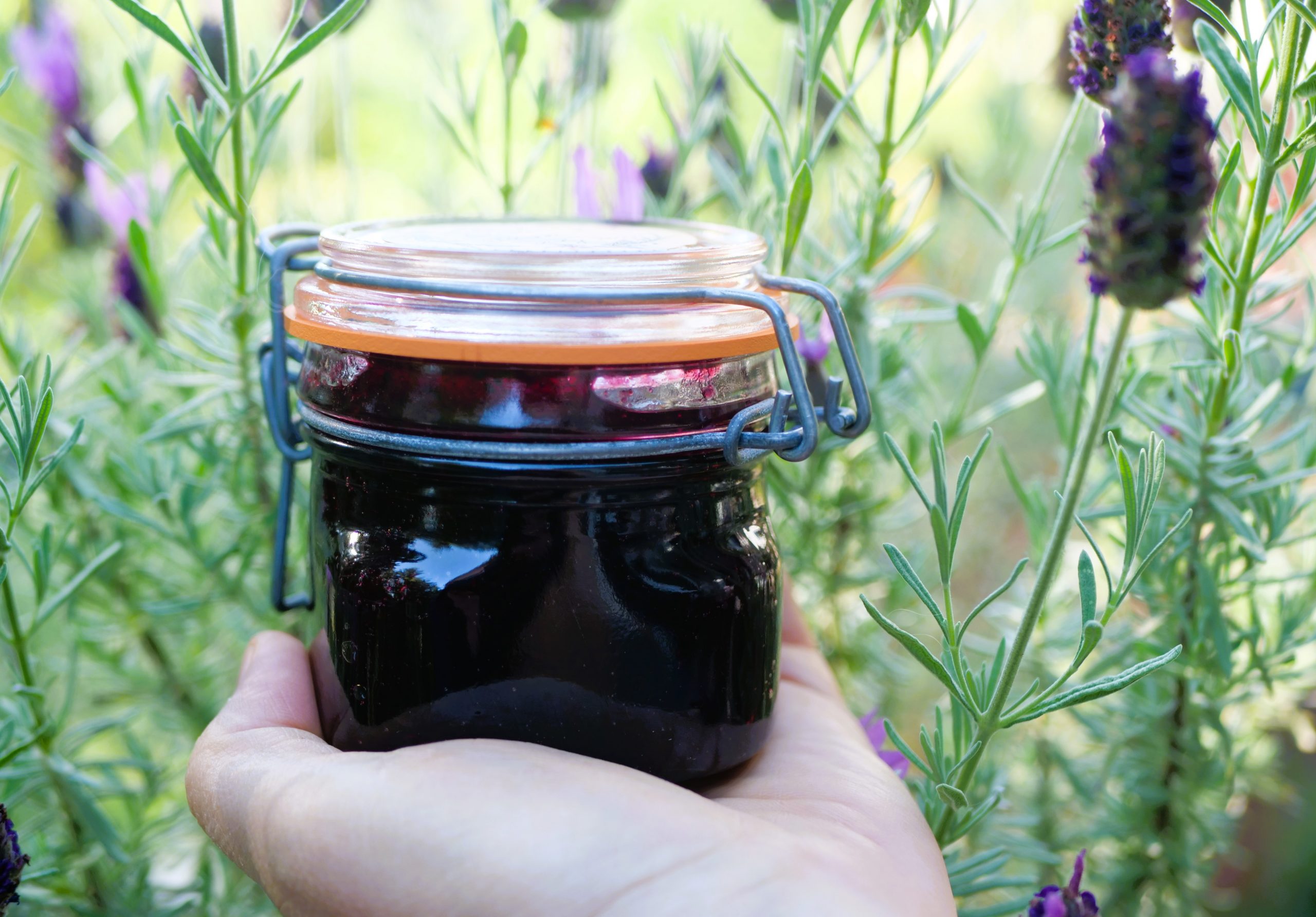 Low-sugar Blackcurrant Jam Recipe With Just Three Ingredients