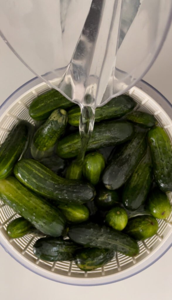 Soaking cucumbers on cold water is an important step if you want crunchy pickles