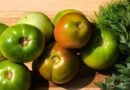 A Better Way To Use Green Tomatoes – Pickle Them!