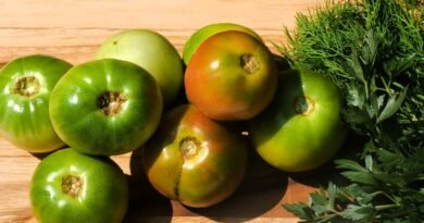 A Better Way To Use Green Tomatoes – Pickle Them!