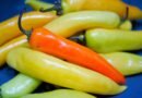 Fried And Pickled Sweet Banana Peppers: Recipe For Canning