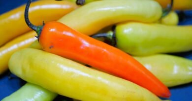 Fried And Pickled Sweet Banana Peppers: Recipe For Canning