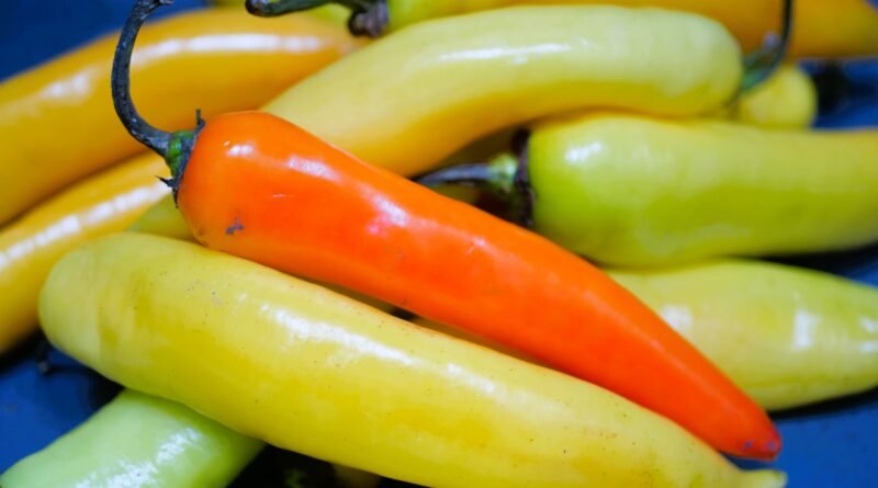 Fried And Pickled Sweet Banana Peppers: Recipe For Canning