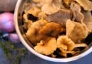 Winter Chanterelle Soup: The Best Of Freezer Meals For Cozy Nights