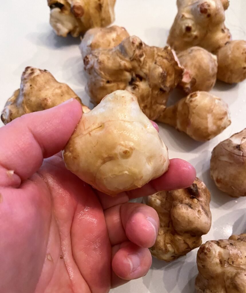 young Jerusalem artichokes can be easily scrubbed with vegetable brush