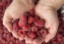 Boozy & Spiced Seedless Raspberry Jam for Grown-Ups