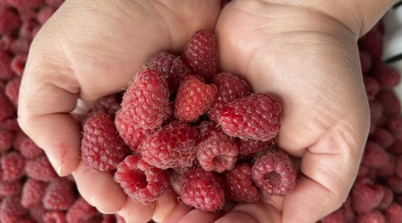 Boozy & Spiced Seedless Raspberry Jam for Grown-Ups