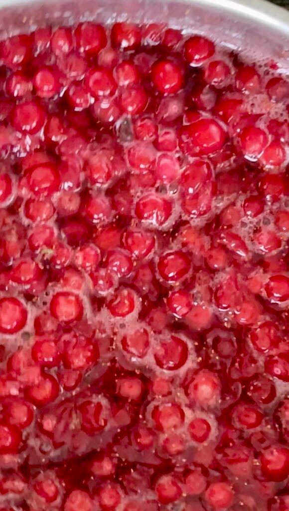 plenty of rendered juice from macerated huckleberries