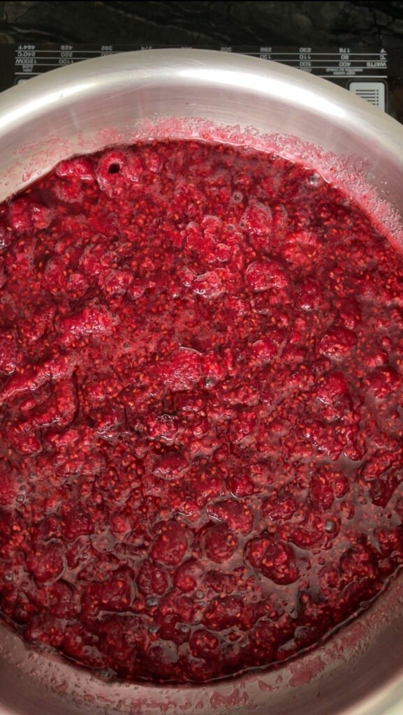 macerated raspberries after 24 hour maceration sitting in a pot read to be cooked