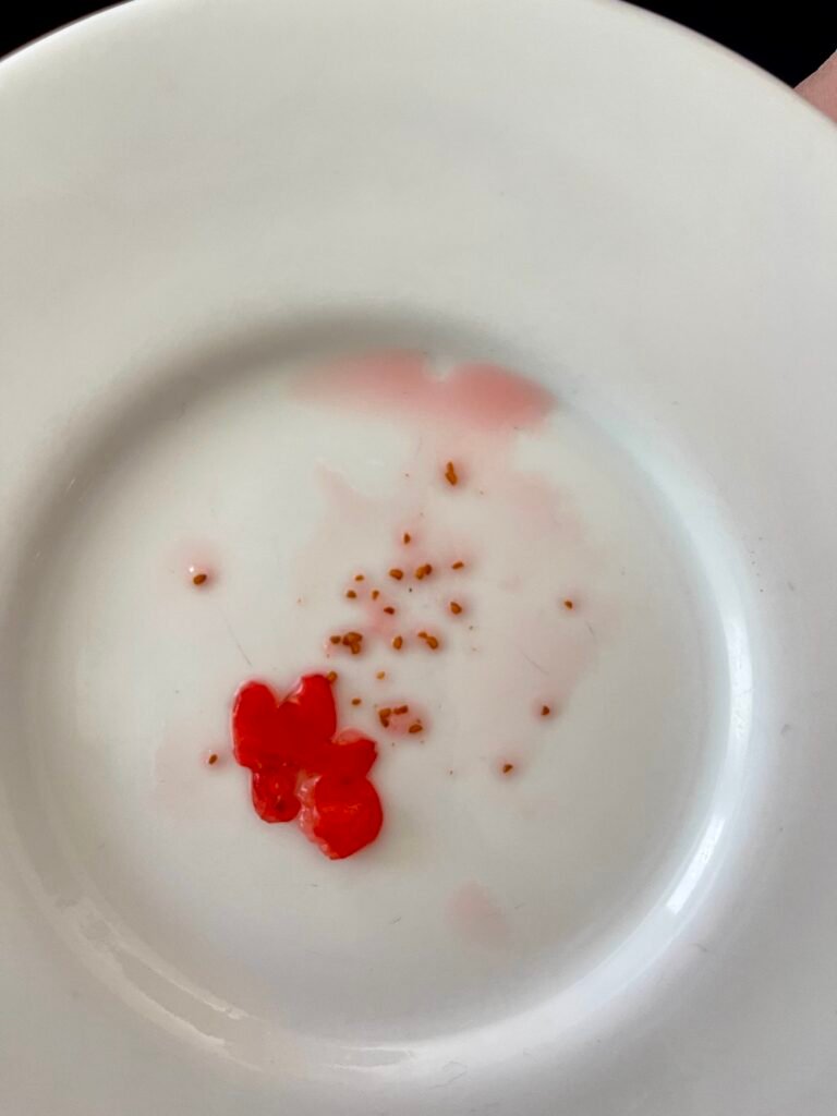each huckleberry will have a lot of tiny seeds inside
