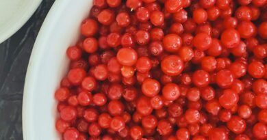 How to Make Red Huckleberry Jam (Bilberry Jam Canning Recipe)