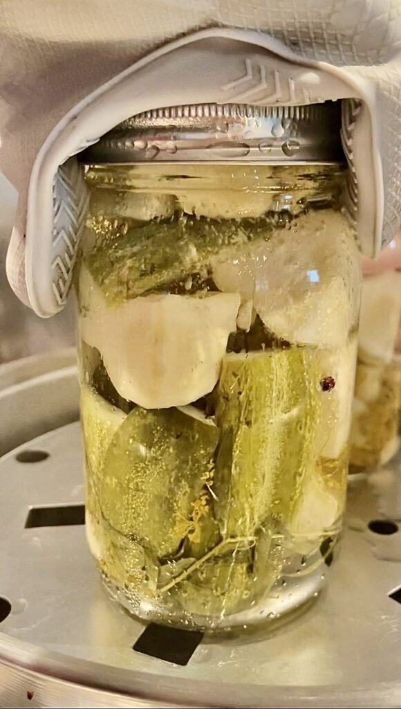 we use steam canner to process our pickles