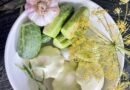 Duo Of Pickled Crunchy Cucumber Spears And Pattypan Squash Duo Of Pickled Crunchy Cucumber Spears And Pattypan Squash
