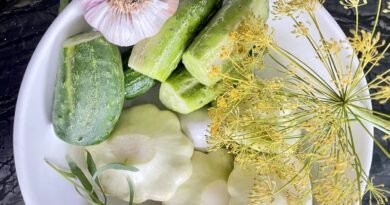 Duo Of Pickled Crunchy Cucumber Spears And Pattypan Squash