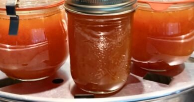 Sweet Tart Yellow Mirabelle Plum Jam Recipe: French Confiture Style