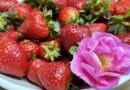 Strawberry and Rose Petal Jam: French Confiture Made Easy