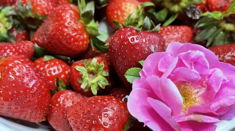 Strawberry and Rose Petal Jam: French Confiture Made Easy