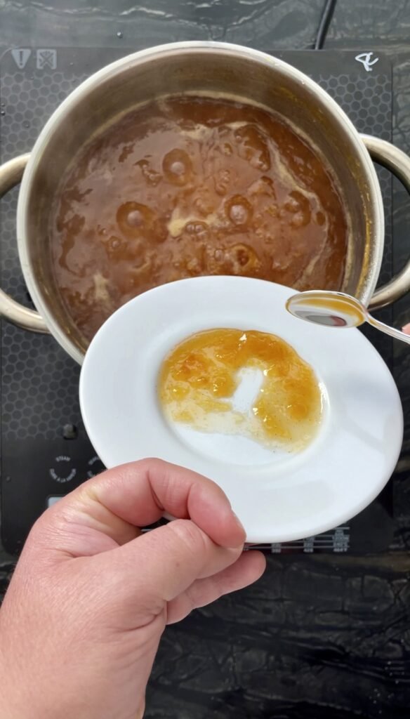cold plate test of the cooked plum jam