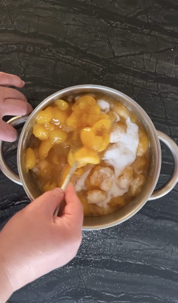 mix sugar with plums while trying to keep fruit intact