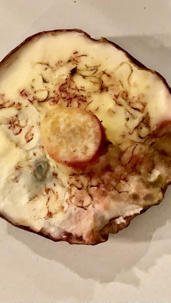 infestation of the mushroom cup is visible once the sponge was removed