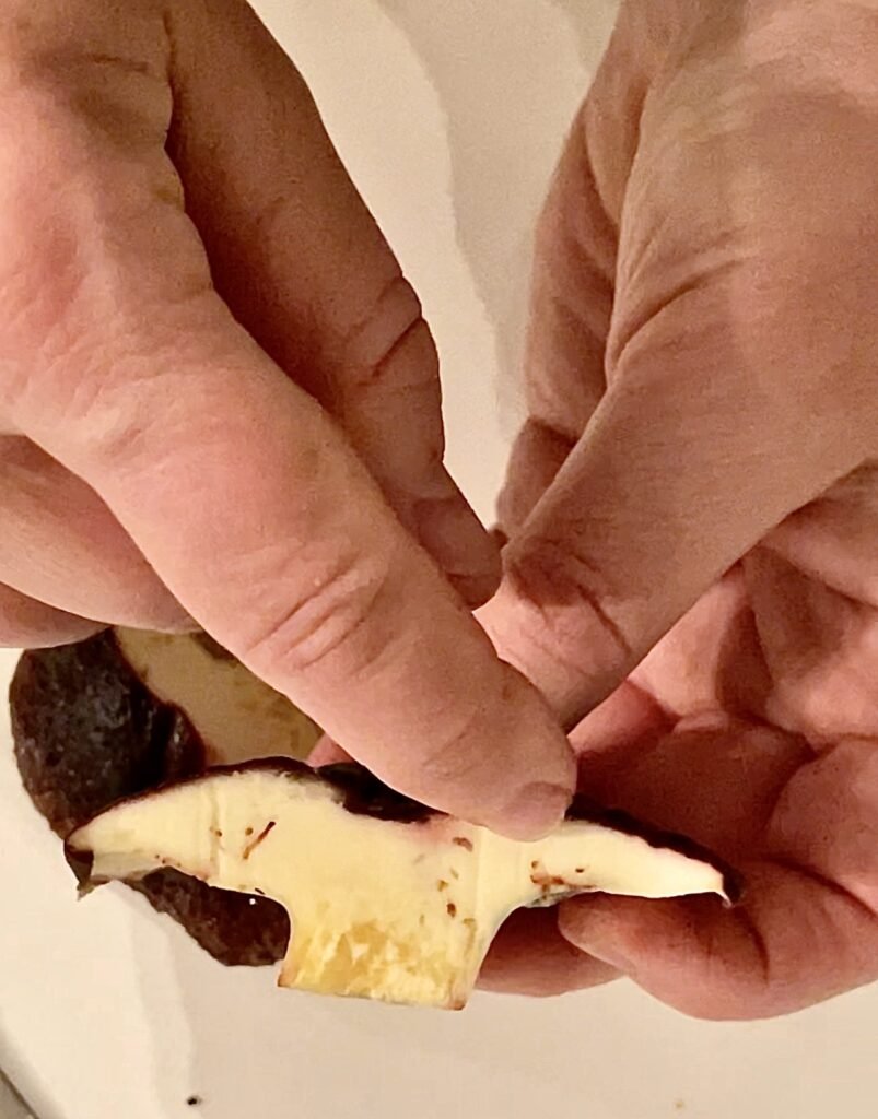 black dots and tunnels indicate insect infestation