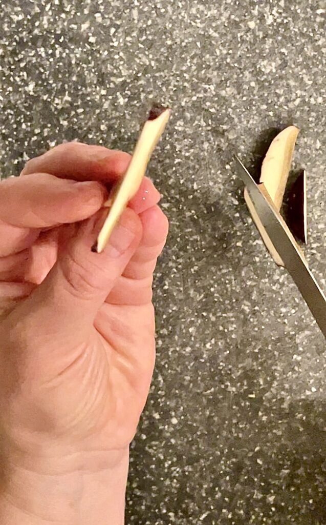 thinly sliced boletes ready for dehydration