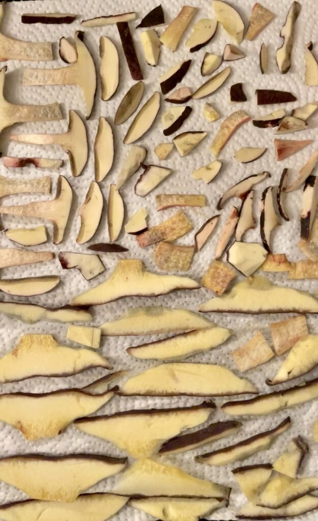 check that mushrooms do not overlap