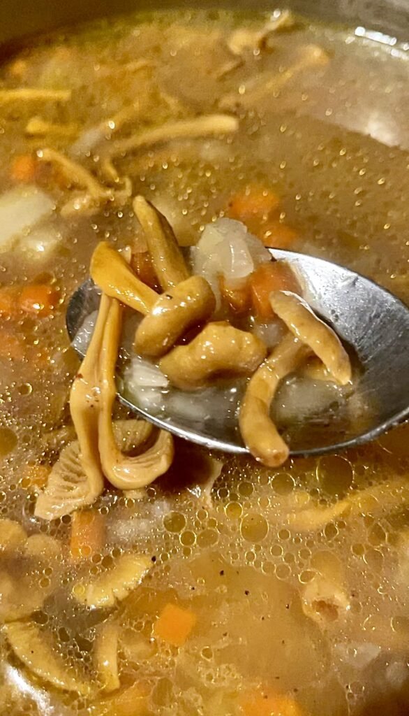 fully cooked chanterelle sup spooned from the pot