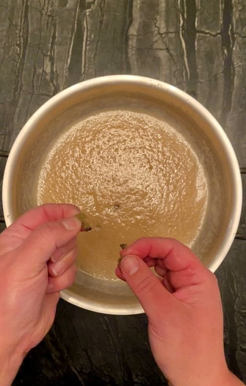 pick seeds from cardamom pods and add to the apple pulp