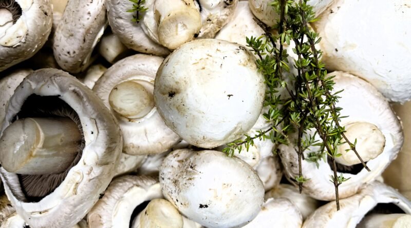 Mushroom Duxelles: A Simple Make-Ahead Recipe for Busy Home Cooks