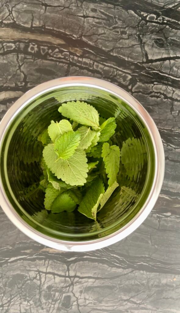apple lemon balm jelly prep -Fresh lemon balm leaves stripped from the stems and washed before steeping. The stems are discarded, only the leaves go into the pot.