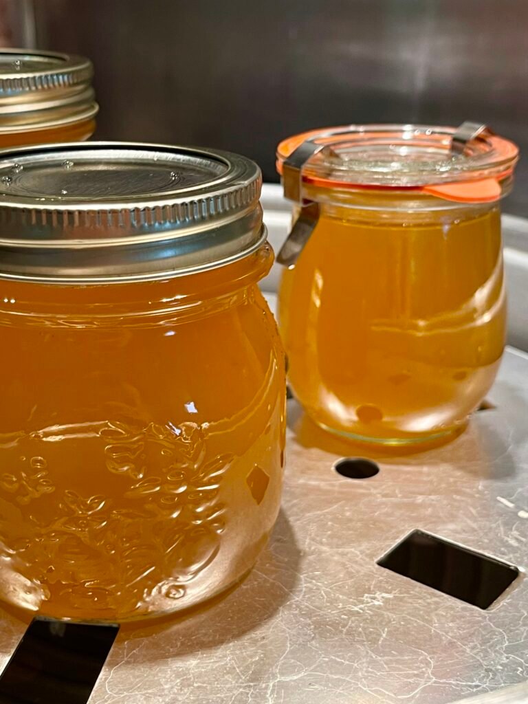 Apple lemon balm jelly three finished half-pint jars golden clear in a tray of an atmospheric steam canner