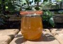a jar of amber-colored lemon balm jelly on a simple garden table. No filters applied :)