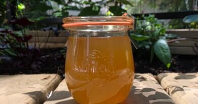 a jar of amber-colored lemon balm jelly on a simple garden table. No filters applied :)