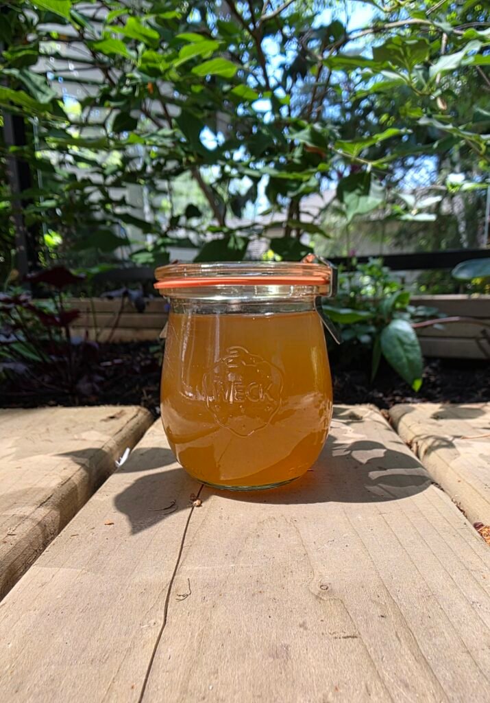 a jar of amber-colored lemon balm jelly on a simple garden table. No filters applied :)
