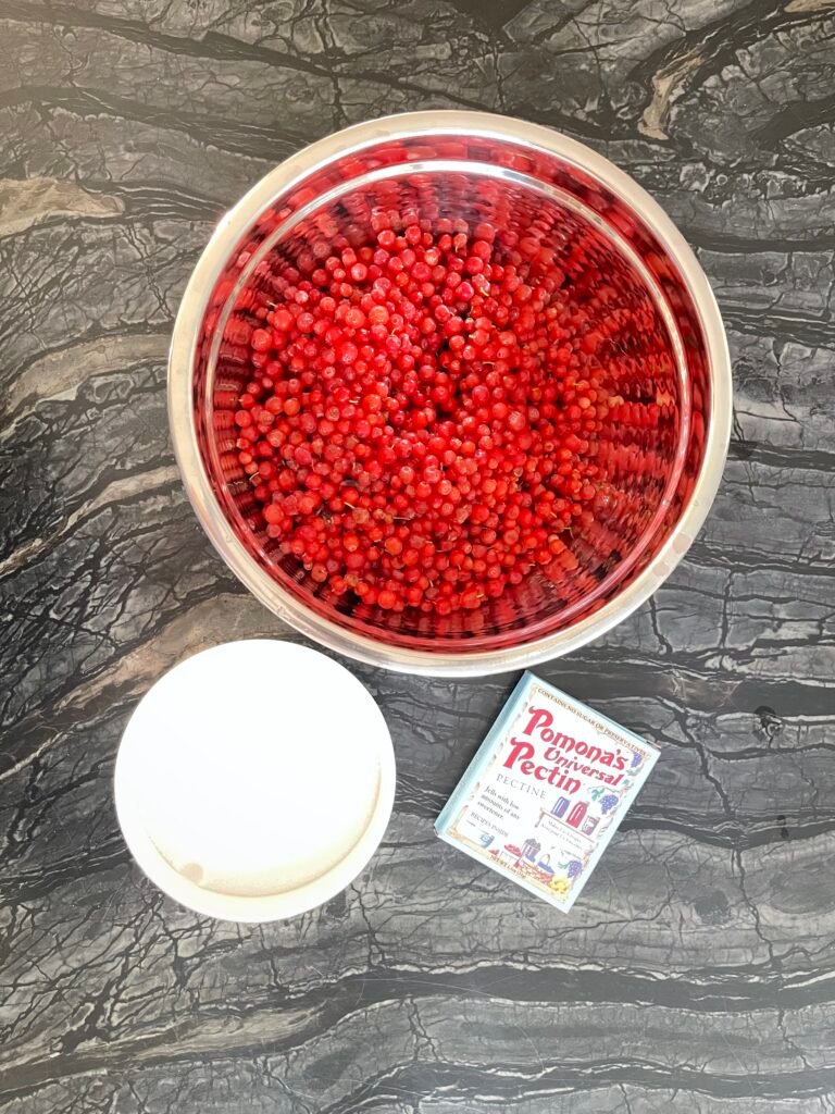 Ingredients -huckleberries, sugar, and pectin laid out