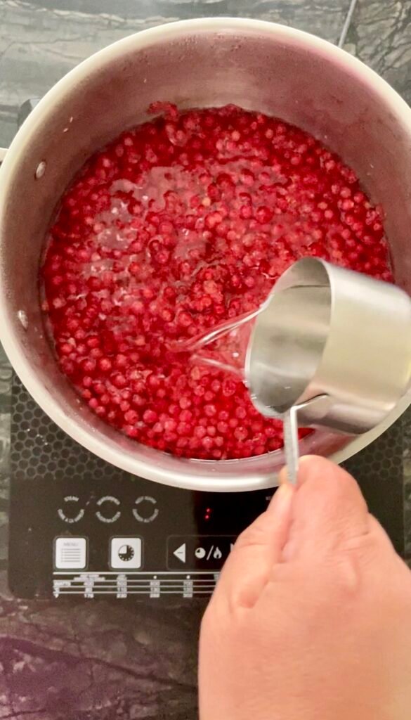huckleberries and water in the pot before simmering