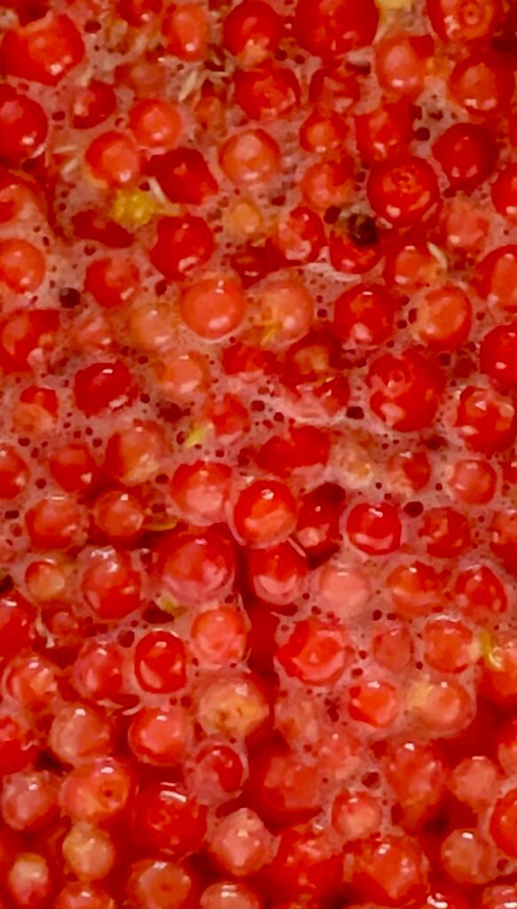 berries steeping in water