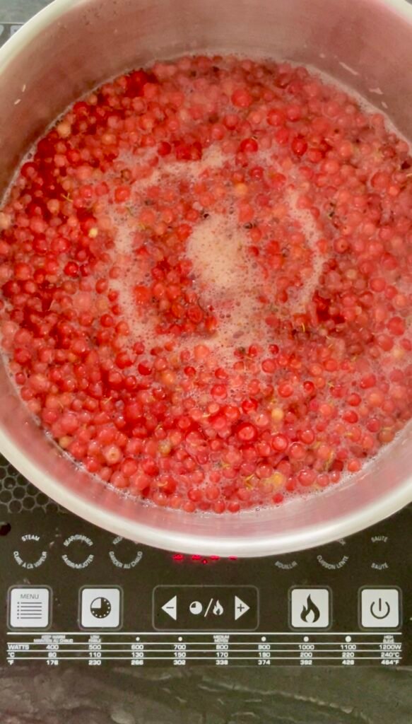 berries simmering in water