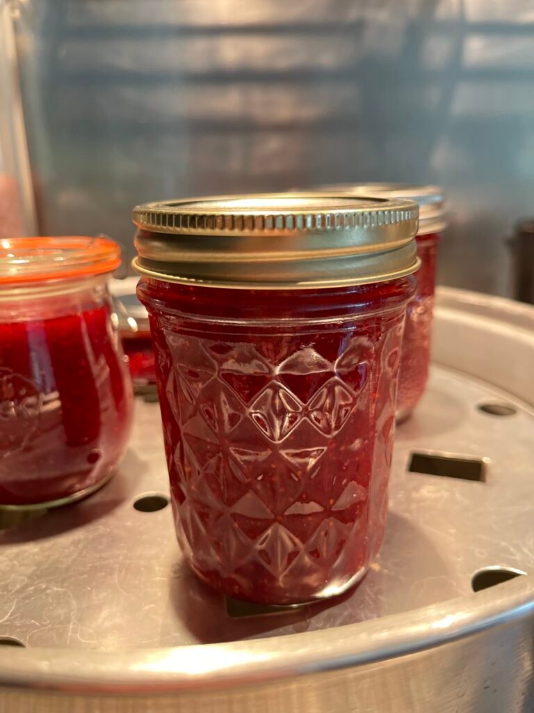 Filled canning jars with lids, standing in a steam bath canner ready for processing