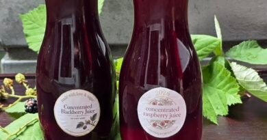 Concentrated Berry Juice Recipe for Canning (Raspberry or Blackberry)