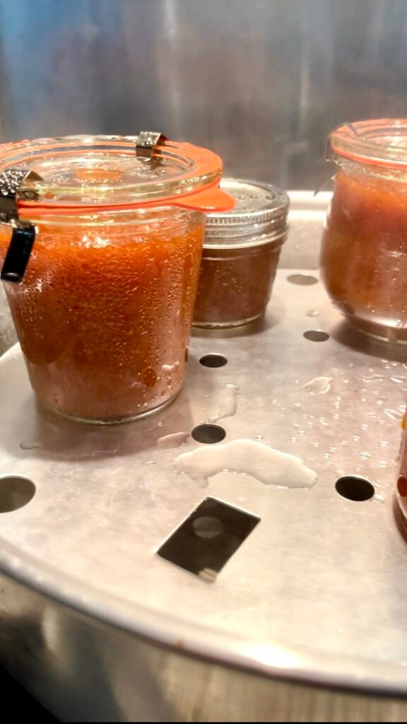 filled jars on the canner rack- processed and cooling, ready to seal