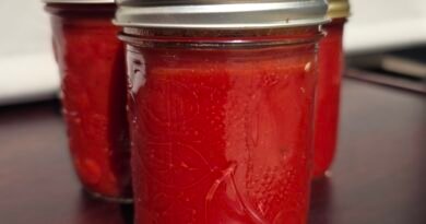 Old-Fashioned Plum and Tomato Ketchup